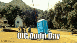 Read more about the article OIG Audit Day